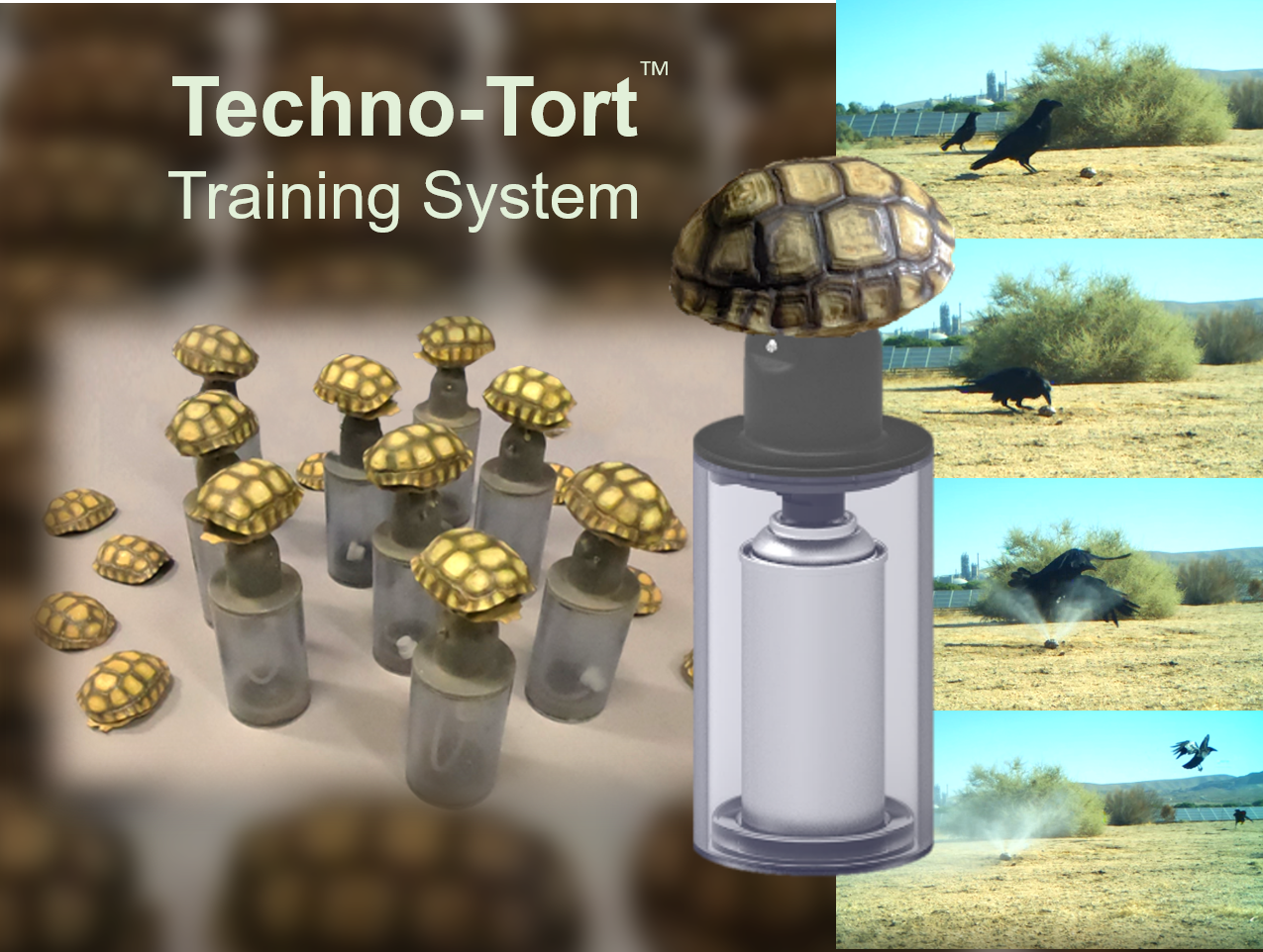 CRG's Techo-Tort training system